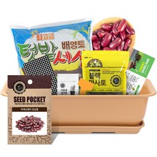 월드가드닝 베란다 채소키우기 텃밭세트 9종 커피컬러, 적색난쟁이강낭콩