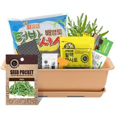 월드가드닝 뷰티6호 텃밭가꾸기 9종 세트, 루꼴라