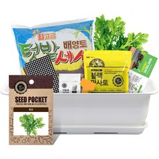 월드가드닝 뷰티6호 텃밭세트 가드닝 순수화이트, 쑥갓