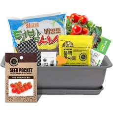 월드가드닝 베란다 채소키우기 텃밭세트 다크그레이, 키작은 토마토 씨앗(체리맛 빨강)