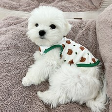 Locus 狗狗衣服, 綠色