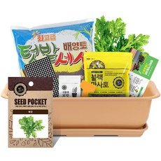 월드가드닝 베란다 채소키우기 텃밭세트 9종 커피컬러, 쑥갓