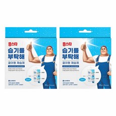 홈스타 습기를 부탁해 걸이형 제습제 본품, 30g, 8개
