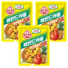 OTTOGI 不倒翁 佛蒙特咖哩調理包 微辣, 100g, 3包