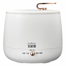 大家源 陶瓷電子鍋 TCY-300302, 1.6公升 美食鍋 燉煮鍋, 1盒