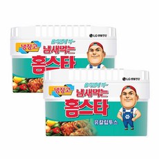 홈스타 냉장고용 탈취제 유칼립투스, 420g, 2개