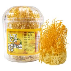 동광한방몰 눈꽃동충하초, 40g, 1개