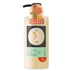 tsaio 上山採藥 山茶花養髮潤髮乳 430ml, 植物萃取 無矽靈 修護受損髮質, 1瓶