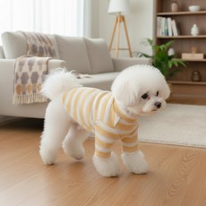 petitdog 寵物動物Shabetty DT074, 黃色