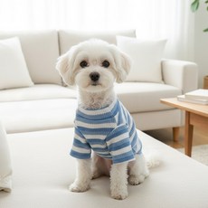 petit dog 寵物雪酪T恤 DT074, 藍色