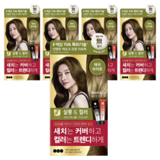 엘라스틴 살롱 드 컬러 앤 새치 염색 크림, 애쉬브라운, 5개