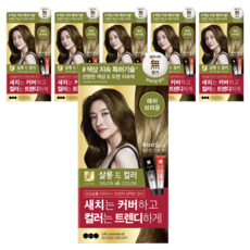 엘라스틴 살롱 드 컬러 앤 새치 염색 크림, 애쉬브라운, 6개