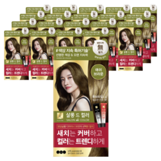 엘라스틴 살롱 드 컬러 앤 새치 염색 크림, 애쉬브라운, 20개