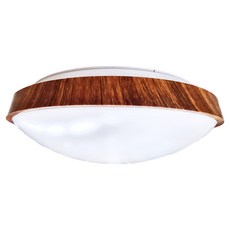 DANCELIGHT 舞光 LED 調光和風雅緻吸頂燈 30W, 樟木
