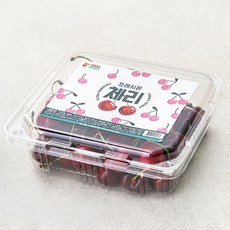 프레시몬 미국산 체리, 500g, 1개