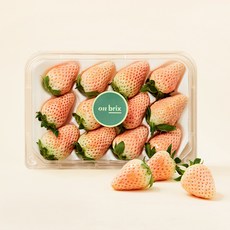 만년설 딸기, 350g, 1개