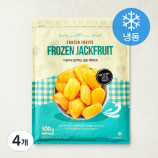 글로벌냉동식품 베트남산 잭후르츠 (냉동), 4개, 500g