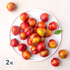 가족 의성 당도선별 자두, 1kg(대), 2개