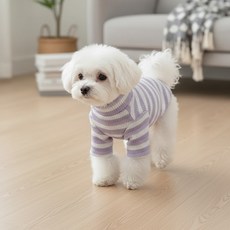 petit dog 寵物雪酪T恤 DT074, 紫色