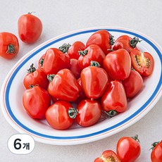 제이드가든 토마토베리, 1kg, 6개