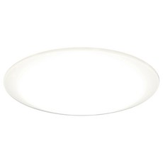 IRIS OHYAMA 愛麗思歐雅瑪 LED圓盤吸頂燈, 白色