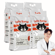 닥터펠리스 펠리스샌드 프로텍트 고양이 모래, 4.3kg, 4개, 무향