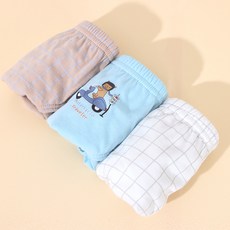 PremierFam Renoma 男童學生內褲3件組 3