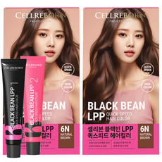 셀리본 블랙빈 LPP 퀵스피드 헤어컬러 염색 염모제 60ml + 산화제 60ml 세트, 6N 내츄럴 브라운, 2개