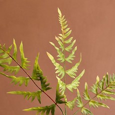 GAPANG 乾燥花 DRYE085, 05號 綠色