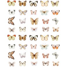 Happy J 裝飾室內蝴蝶貼紙 40入組, 1套, 白色蝴蝶