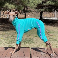 DOGGY STAR 義大利灰狗服 IG服 毛巾布 連身衣, 玉色