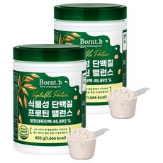 본트비 식물성 단백질 프로틴 밸런스, 420g, 2개