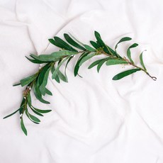 RYMD 橄欖葉頭飾, 混色