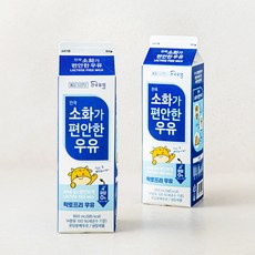 건국유업 소화가 편안한 우유, 900ml, 2입