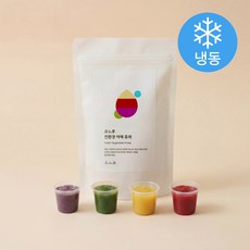 오느루 강아지 야채 퓨레 20g x 4종 세트 (냉동), 1세트, 딸기, 케일, 단호박, 블루베리