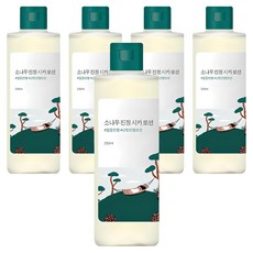 라운드랩 소나무 진정 시카 로션, 250ml, 5개
