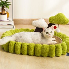 딩동펫 고양이 그린랜드 부클 스크래쳐, 혼합색상, 1개