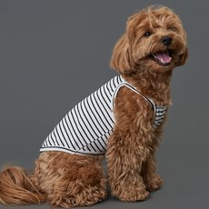 DOG-i 寵物條紋背心, 海軍藍