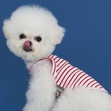 DOG-i 寵物條紋背心, 紅色