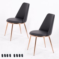 비에프컴퍼니 골드 써클체어 식탁의자 2p + 고무발통커버 8p, 블랙, 1개