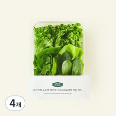 프리미엄 무농약 베이비 스피니치&케일 가든 믹스, 150g, 1개입, 4개