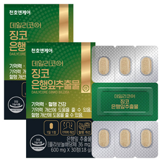 천호엔케어 데일리코어 징코 은행잎추출물 18g, 2개, 30정
