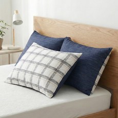 g BEDDING 奈米纖維枕套 2入+超細纖維枕芯 2入, 海軍藍, 1組