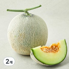 농협 유명산지 멜론, 2개, 1.2kg(1입)