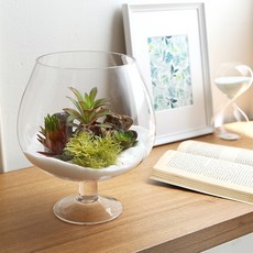 三湖玻璃 紅酒杯 玻璃魚缸 花瓶 SH1005-2 2入, 單一顏色
