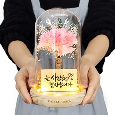 The Lime Korea LED 迷霧康乃馨玻璃圓頂氛圍燈, 粉色的