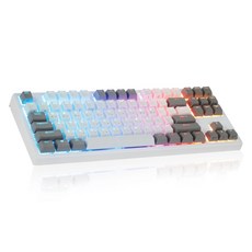 Cox Endeavor Tenkeyless RGB PBT 防水固態鍵盤 35g, 白色鍵帽(白色 & 灰色鍵帽), 單一商品, 無接點