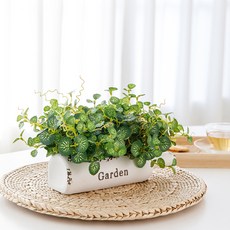 행복한마을 조화 가든보틀 화분, 혼합 색상, 1개