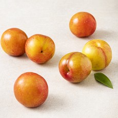 새벽경매 작아도 맛있는 하우스 자두, 300g(4~6입), 1팩