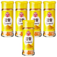 오뚜기 강황, 48g, 5개